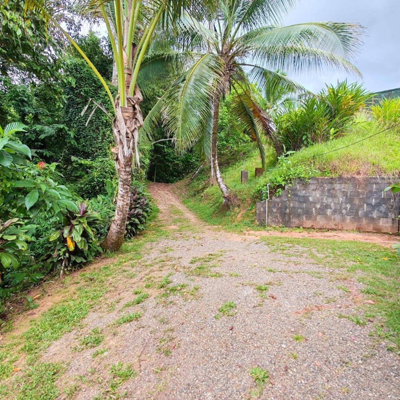 Corcovado Green Cabin & House Drake Bay Exterior photo